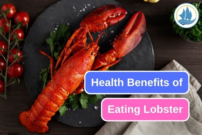 6 Reasons Why Eating Lobster Is Good for Your Health